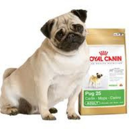 royal canine pug royal canin pug 1 5 kg k 246 pek maması royal canine pug royal canin pug 1 5 kg k 246 pek maması
