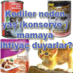 Konserve Kedi Maması